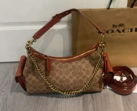 Picture of Coach Handbags _SKUfw234997819fw